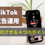 TikTok Ad Operations