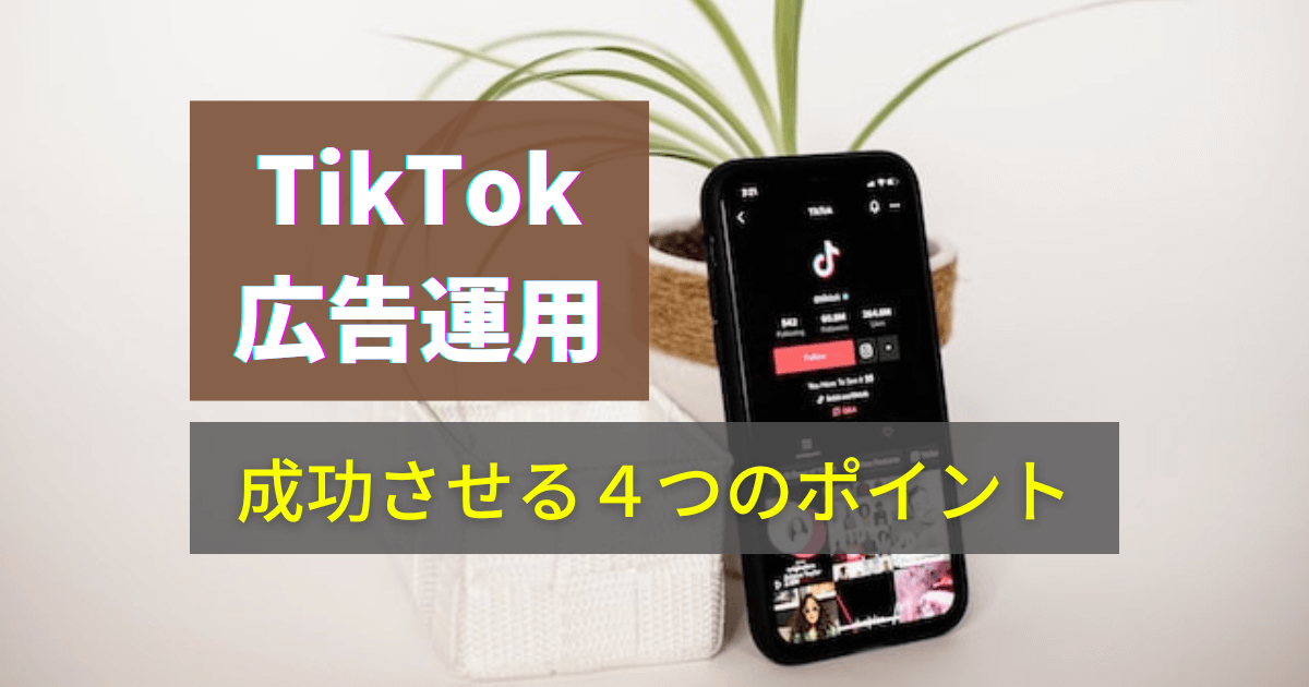 TikTok Ad Operations
